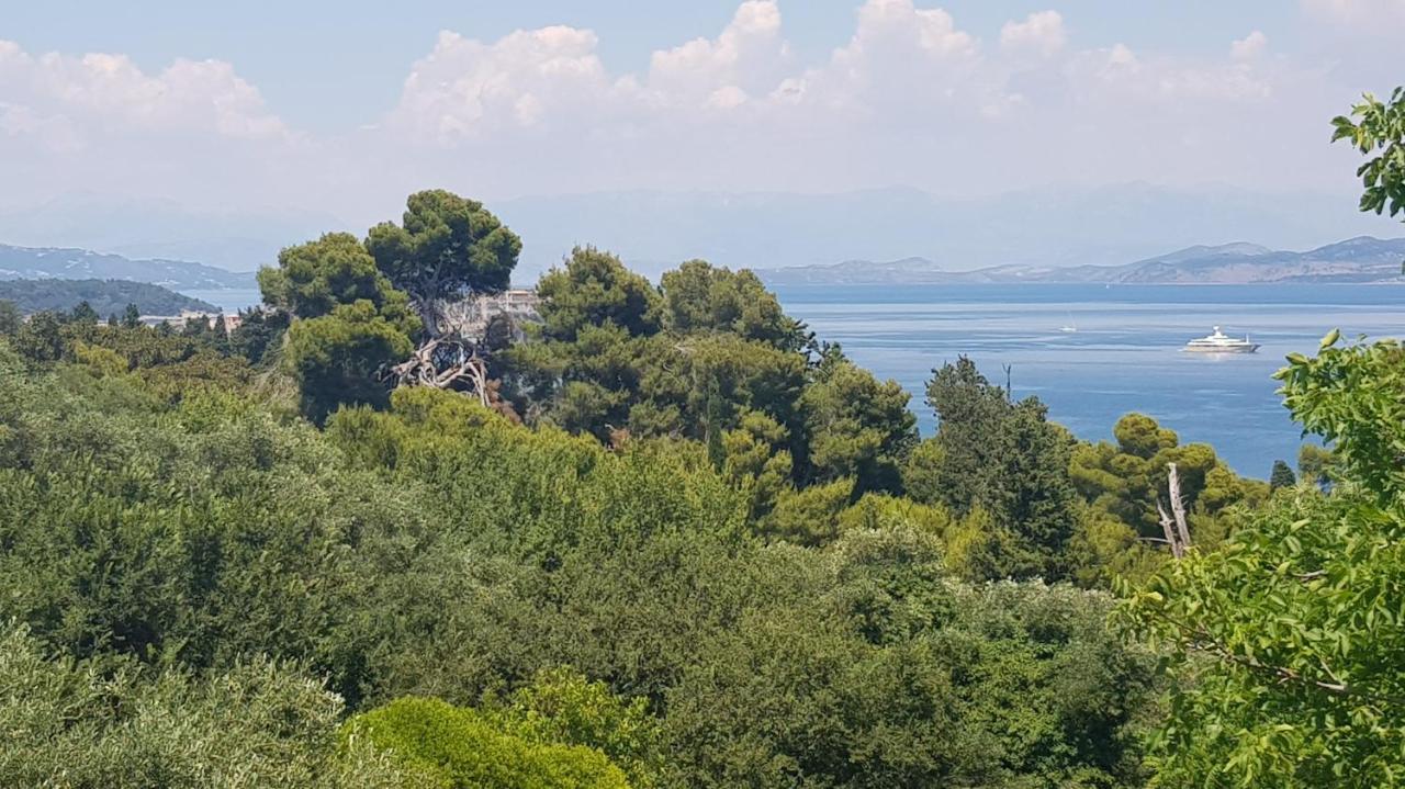 Mon Repos Panorama